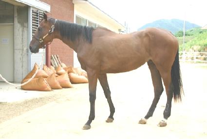 ��Ű ����