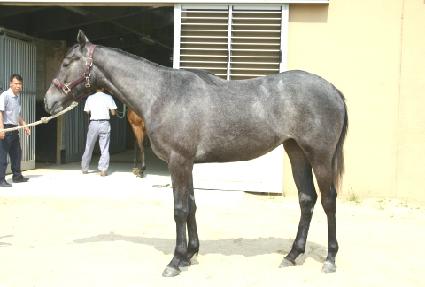 ���׳뼱 ����