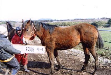 �������� ����