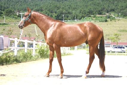 �������� ����