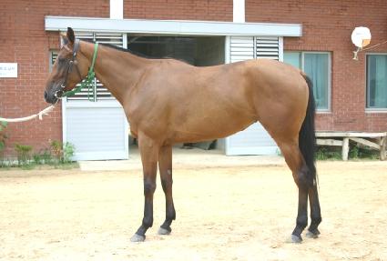 �������� ����