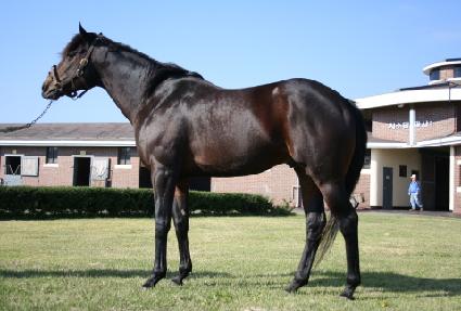 ���� ����