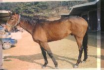 �Ϸ���� (ELEVEN B) ����