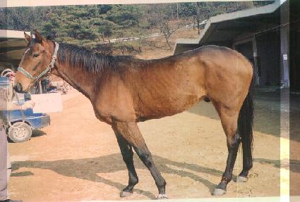 �Ϸ���� ����