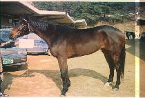 ���������� (LIL MIZ HIP HOP) ����