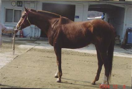 ��帶�̾����� ����