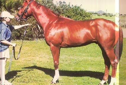 �����̵� ����