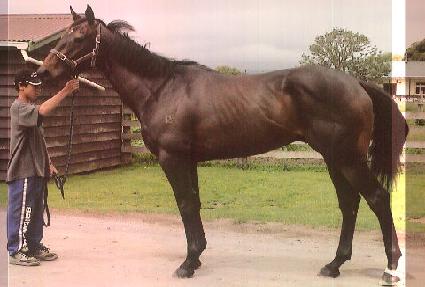 ���θ� ����