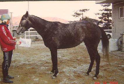 Ÿ�߼������� ����