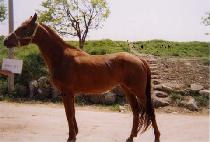 ���������� (KKEUDEOMNEUN JILJU) ����