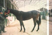 ����õ�� (GAESEONG CHEONGUK) ����