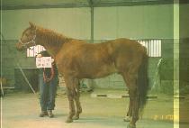 ��帶�̾���ġ (ADMIRE TOUCH) ����