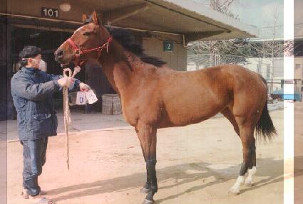 ����Ʈ���� ����