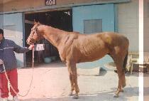 �ƿ��´������� (OUTONTHESLY) ����