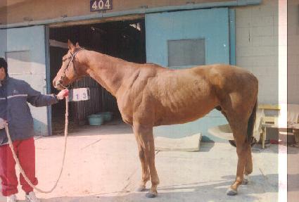 �ƿ��´������� ����