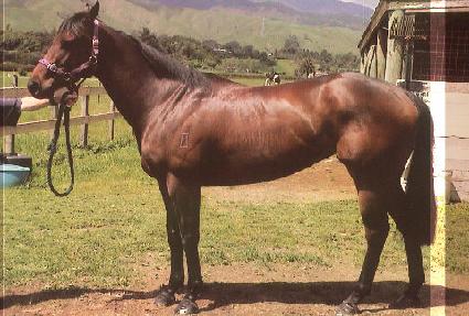 ���̹��̹��� ����