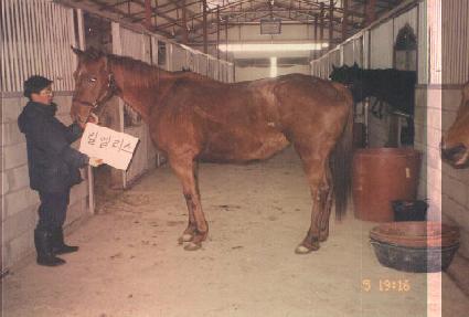 ���ٸ��� ����