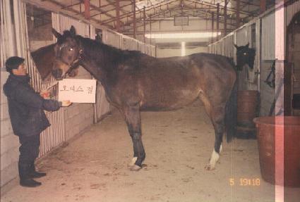 ���ǽ��� ����