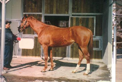 ������ ����