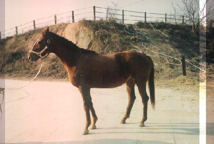 �������� ����