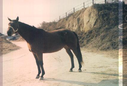 �ҽý�Ʈ ����