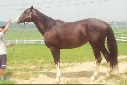 �����Ʈ ����