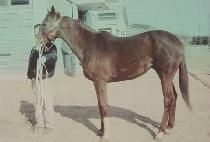 ����÷��� (MOM��S REFLECTION) ����