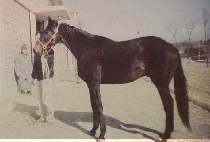 �븴�ͽ������� ����