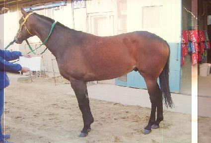 ����Ÿ�� ����