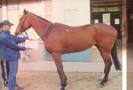 ���յε� ����