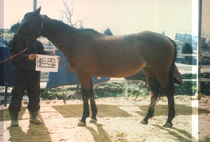 ��Ʈ�ο� ����