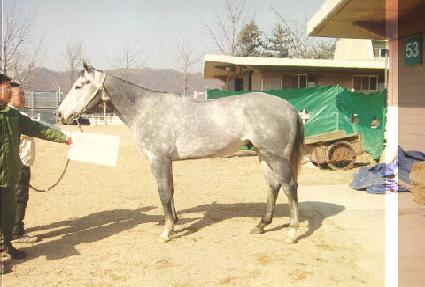 ��������� ����