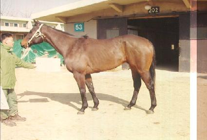 ī����Ƽ������ ����