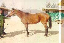 ������ (SUBSIDY) ����