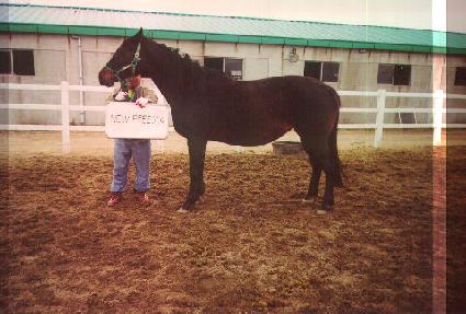 ���������� ����