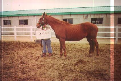 ����Ű ����