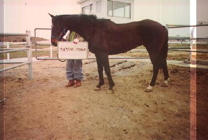 ���۹з��Ͼ� ����