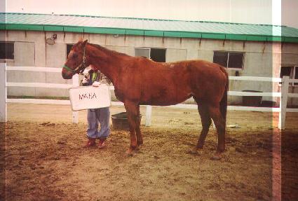 ���� ����