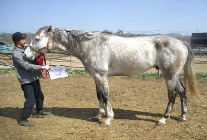 �Ϲ����� ����