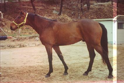 �󸮽� ����