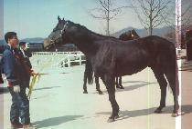 FAGER'S ISLAND picture