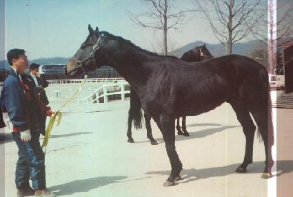 �аŽ����Ϸ��� ����