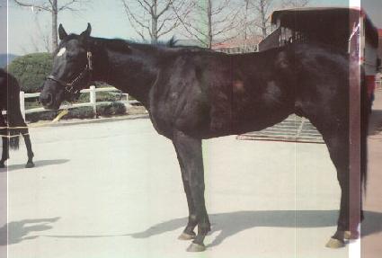 �����̺��׼��� ����