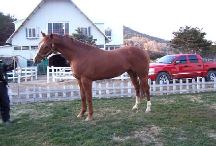 ġ����Ʈ ����