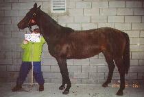 ���̽����� (BIGBOYSTOY) ����