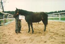 Ʈ���÷��̸���Ʈ (TRIPLAYMATE) ����