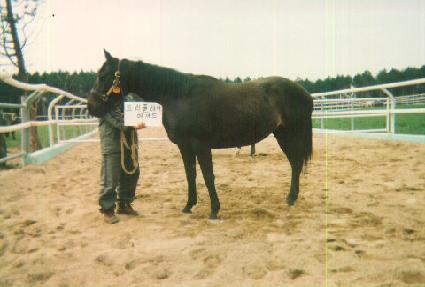 Ʈ���÷��̸���Ʈ ����