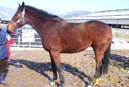 ���ÿ��� ����