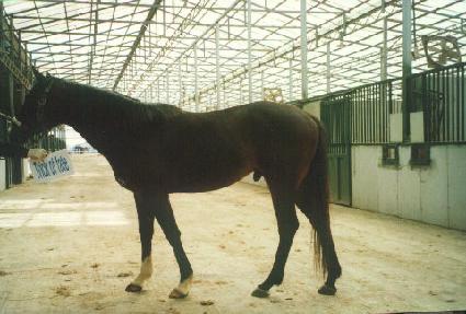 Ʈ����������Ʈ ����