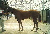 ���û��̵� (DANCEACIDE) ����